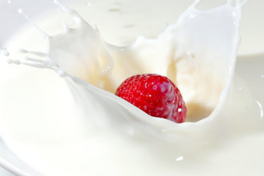 Bulk Oat Milk Powder Gains Ground in Crowded Dairy Alternative Sector